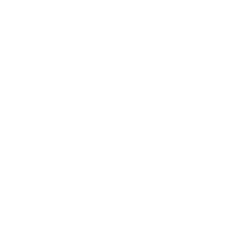 Polaris Medifabrics Logo